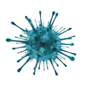 Vaccine Awareness website | Mysureshot