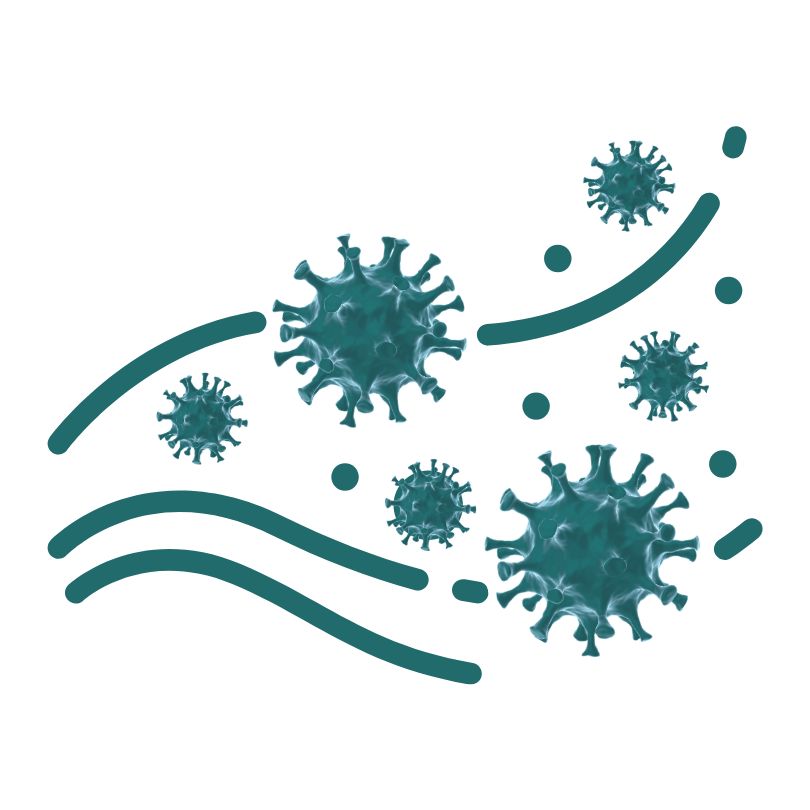 virus spread