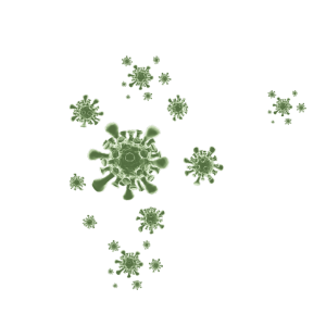 hepatitis A virus spread in india